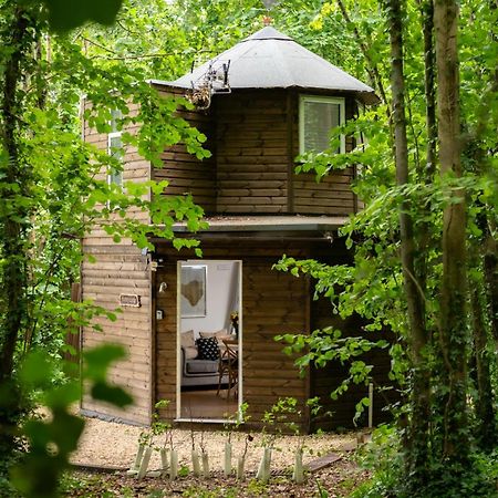 Honeycombe - Treehouse In The Heart Of Dorset Villa Blandford Forum Eksteriør billede