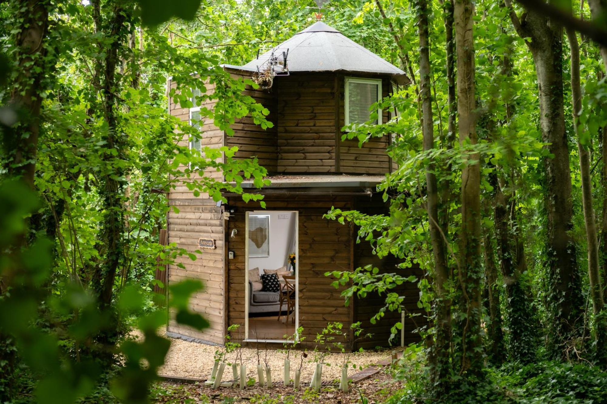 Honeycombe - Treehouse In The Heart Of Dorset Villa Blandford Forum Eksteriør billede