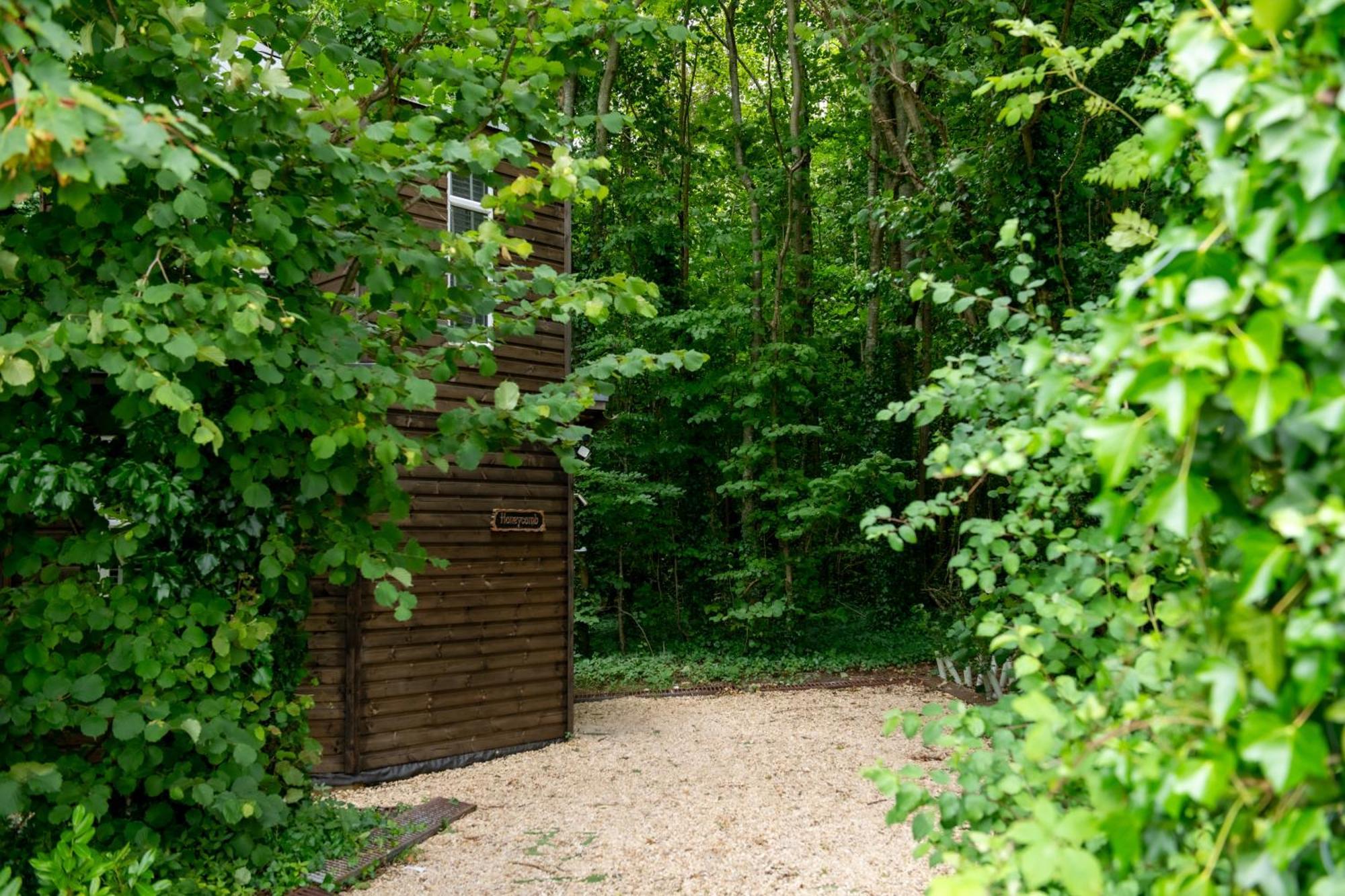 Honeycombe - Treehouse In The Heart Of Dorset Villa Blandford Forum Eksteriør billede
