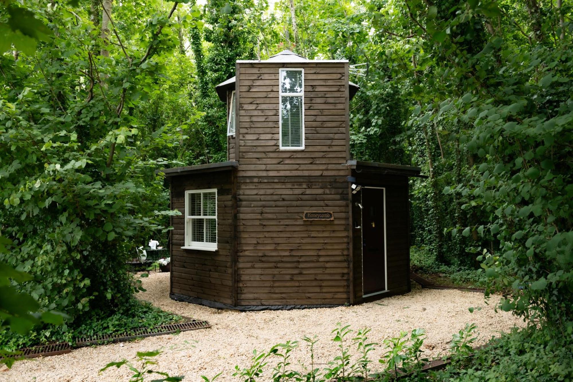 Honeycombe - Treehouse In The Heart Of Dorset Villa Blandford Forum Eksteriør billede